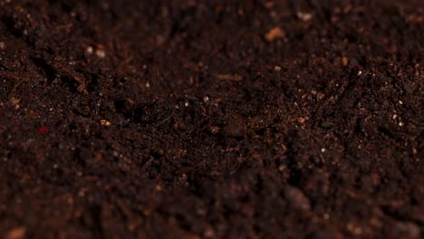 close-up of water mist spraying onto dark soil, highlighting texture and moisture interaction under controlled lighting