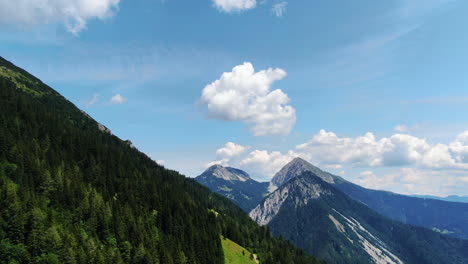 aerial view of pine forest and mountain peaks high on mountain prevala