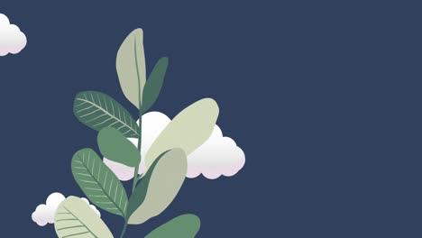 Animation-of-plants-and-clouds-on-dark-blue-background