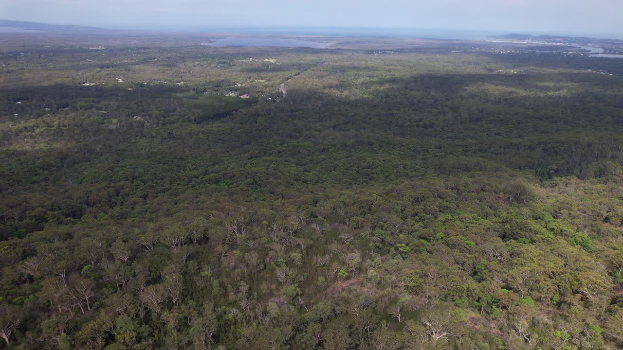 Tropical Forests, Tewantin Forest Reserve In Queensland, Australia - Aerial Drone Shot