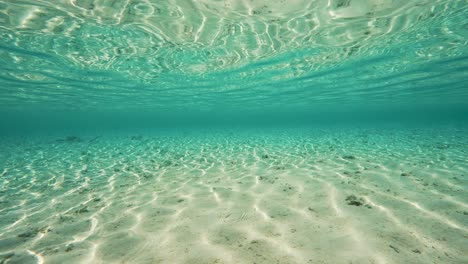 hermosa foto de la superficie del agua reflejada bajo el agua, cámara bajo el agua de una playa tropical en fakarva, el segundo atolón más grande de la polinesia francesa en el océano pacífico sur en cámara lenta