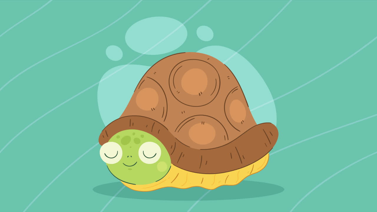 cute turtle hidden character animation
