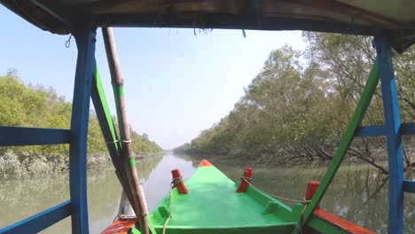 boat safari around islands of sunderbans tiger reserve with mangrove forests in 24 parganas west benagal india