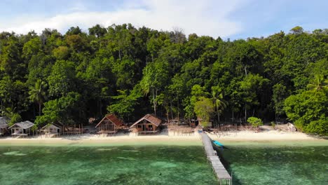 tropical beach huts and pier on a secluded island with clear waters