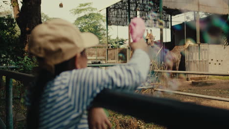 child playing with giraffes at the zoo
