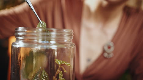 woman propagating a spotted plant in a jar