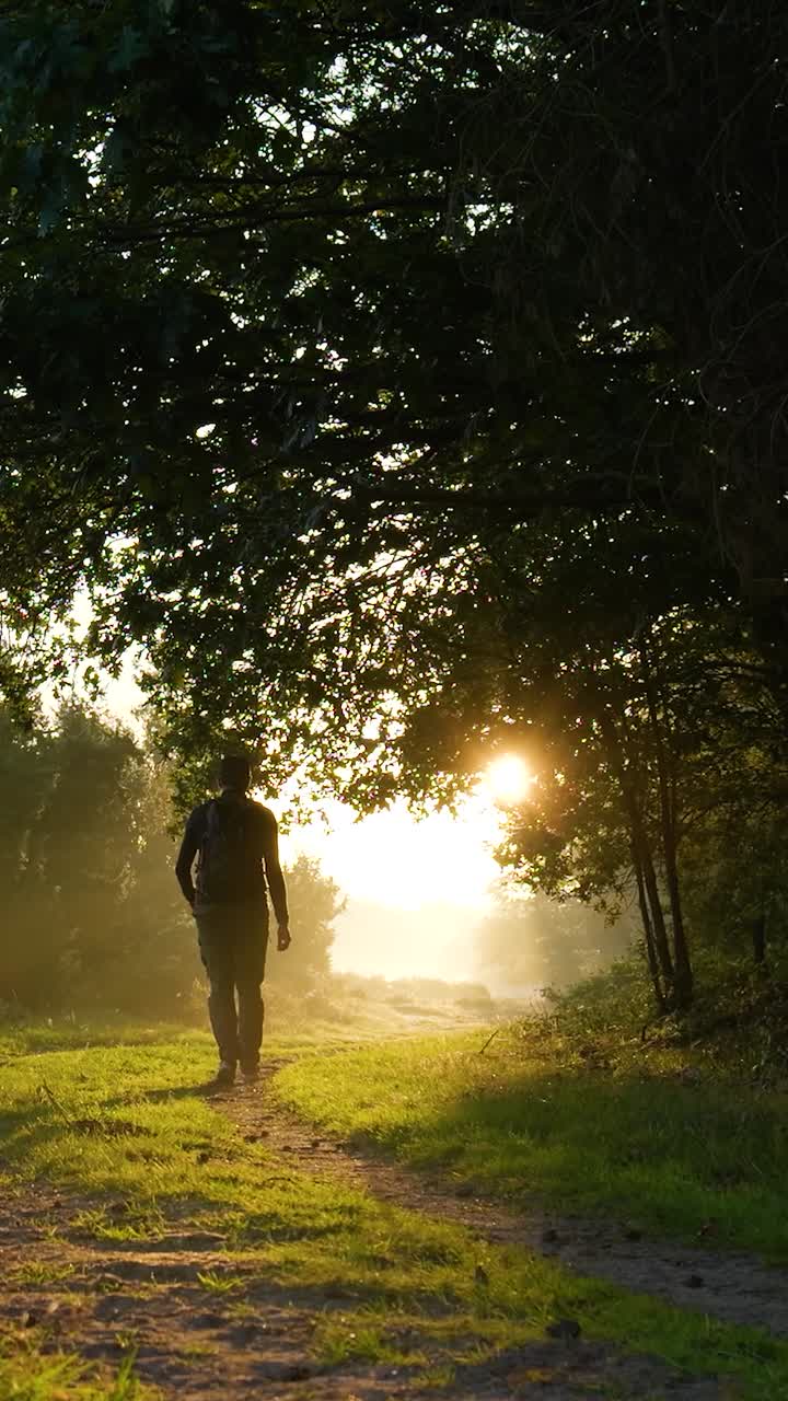 hombre caminando en un bosque al amanecer o al atardecer