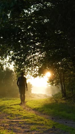 man walking in a forest at sunrise/sunset