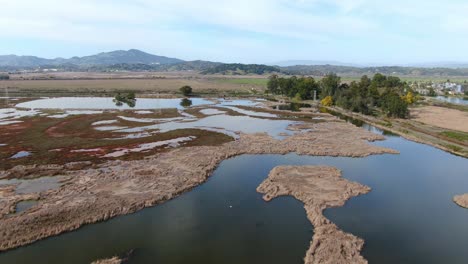 Impresionantes-Paisajes-Aéreos-A-Través-De-Marismas-Y-Humedales