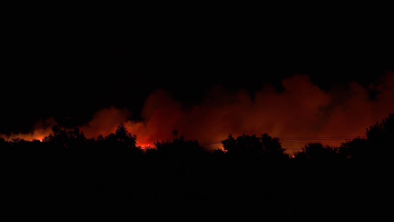 A nighttime forest fire paints the horizon red and orange as the flames reduce the surrounding trees to ashes
