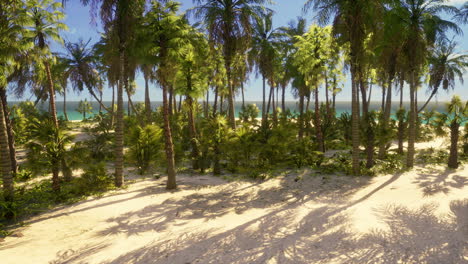 playa tropical con palma de coco