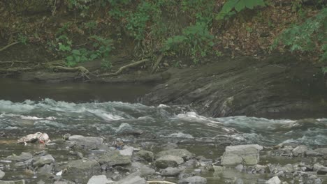 Der-Wissahickon-Creek,-Bach,-Der-An-Großen-Steinen-Vorbeiführt