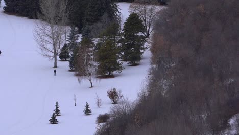 Trister-Winter-Luftüberfall-über-Skiresortpark-Mit-2-Langläufern,-Die-Im-Klassischen-Diagonalschritt-Skifahren,-Auch-Bekannt-Als-Sterben-In-Agonie,-Während-Ein-Paar-Schwarze-Vögel-Von-Links-Nach-Rechts-über-Sie-Hinwegfliegen-3-4