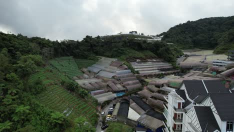 general landscape view of the brinchang district within the cameron highlands area of malaysia