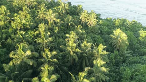 tonga aerial views - stunning location 25