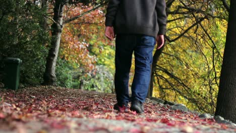 walking in park autumn forest