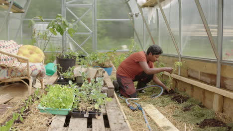 slider reveal shot of a woman planting in her greenhouse, sweden