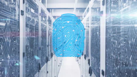 animación del procesamiento de datos a través de servidores informáticos