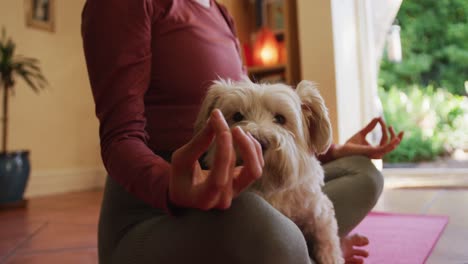 caucasian woman practicing yoga with her pet dog at home