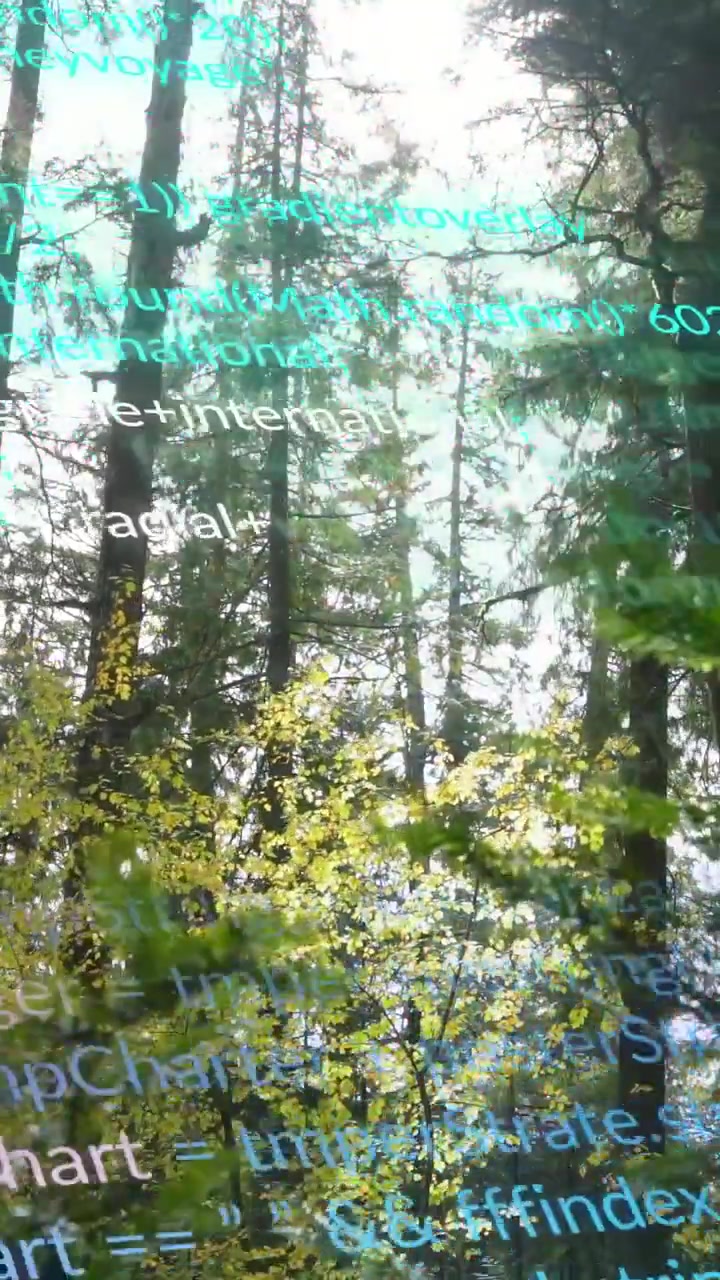 Video verticale: Tronchi di conifere che incorniciano il cielo, codice ciano che appare e scende fluttuando, visualizzazione di dati.
