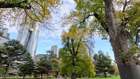 a peaceful walk in urban nature setting