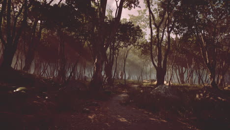 Gruseliger-Mystischer-Magischer-Tiefer-Wald