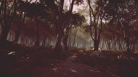 espeluznante magia mística profundo bosque