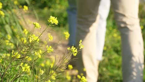 pareja caminando en un camino rural cerca de flores amarillas en la hermosa naturaleza