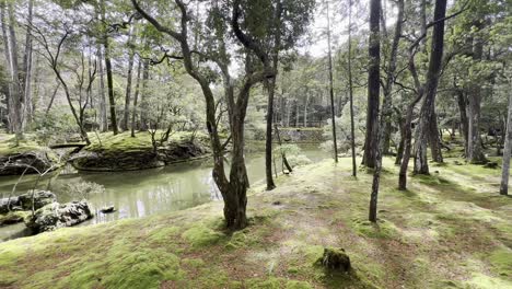 Caminando-Entre-Los-árboles-En-El-Templo-Saihōji,-Kyoto,-Japón