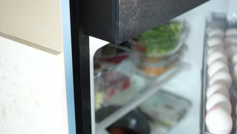 inside of a clean and well-organized refrigerator