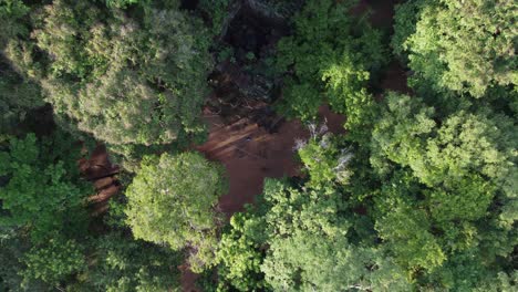 La-Antena-De-Camboya-Se-Eleva-Sobre-El-Templo-De-La-Selva-Jemer-Cubierto-De-Maleza-En-Koh-Ker