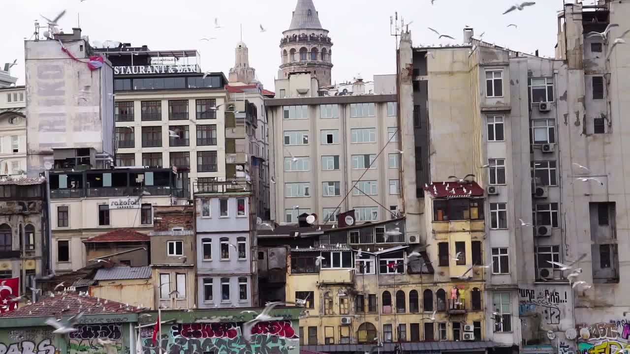 Galata Kulesi civarında Boğaziçi'nde uçan martılar