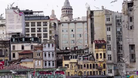 seagulls flying in the bosphorus near the galata tower neighborhood