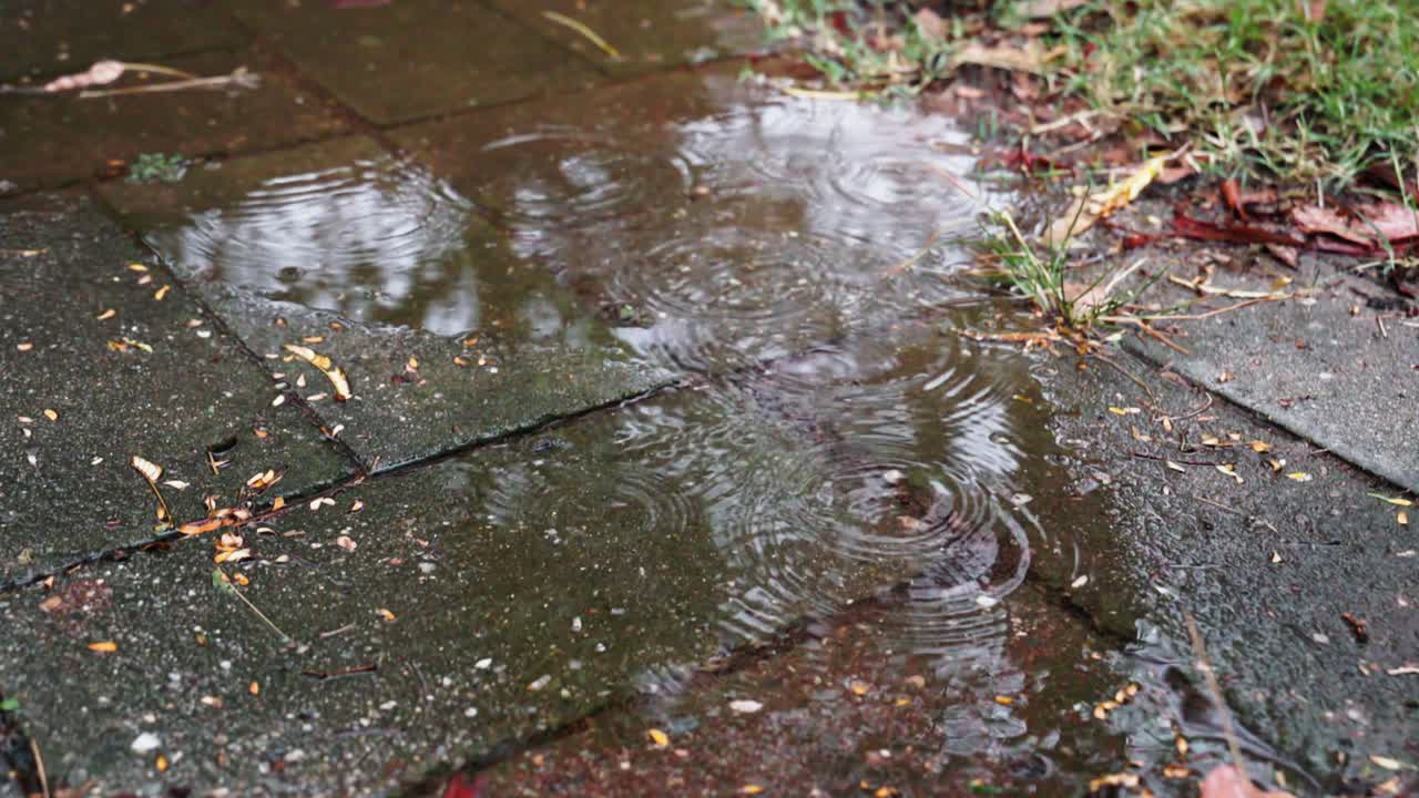 Super slow motion reveals ripples forming as raindrops hit a shallow pool atop stone tiles, capturing rain’s peaceful rhythms.