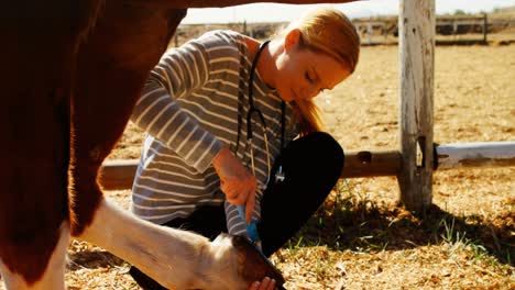 Veterinarian-cleaning-horse-leg-in-ranch-4k