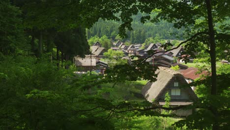 shirakawago village with thatched roofs gassho-zukuri, japan hidden in nature