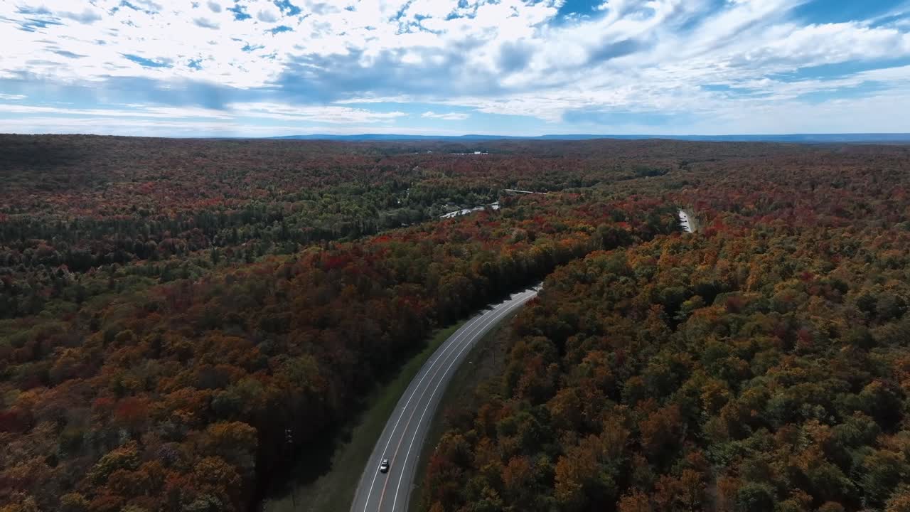 carretera a través de un bosque sin fin con árboles de otoño