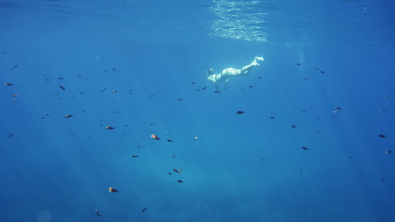 Snorkeling in the ocean with fish