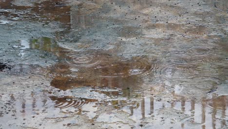 Medium-Close-Shot-of-Puddles-in-the-Rain