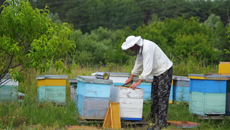 apiarist working on a bee farm in nature. wooden beehives on beautiful landscape of green trees in a sunny summer day. beekeeping process.