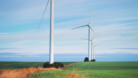 Wind-turbines-tower-above-the-farm-fields-with-fresh-green-sprouts