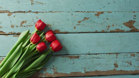 Strauß-Roter-Tulpen-Auf-Holzhintergrund-Am-Valentinstag