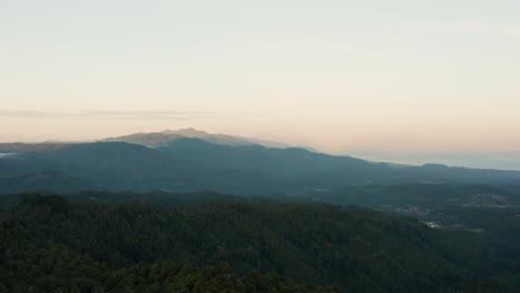 Beautiful-aerial-drone-landscape-view-flying-over-dense-green-forest-at-sunrise