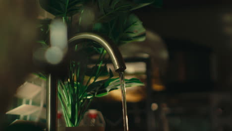water tap with plant