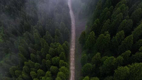Aerial:-misty-mountain-road-in-forest,-tilt-up-reveal,-moody-landscape
