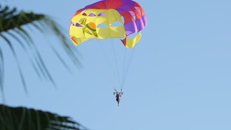 parasailer flying on colorful parachute in sunset or sunrise sky