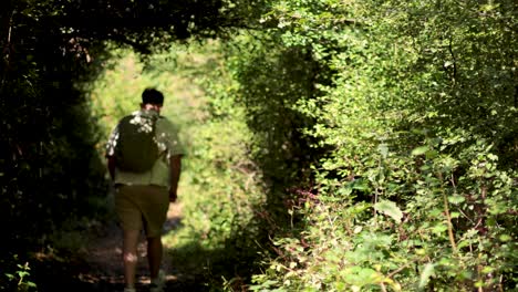 a man walks through a lush forest path