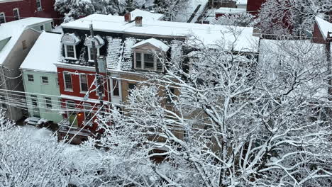 Winterlicher-Schneesturm