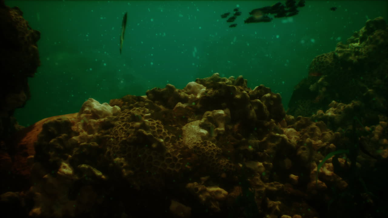 escena de arrecife de coral submarino con peces