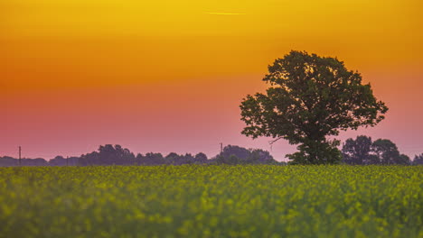 spectacular sunrise timelapse countryside field